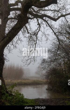 La River Cam che corre lungo Trumpington Meadows in una nebbiosa mattinata invernale. Cambridge, Regno Unito Foto Stock