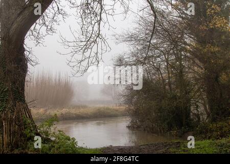 La River Cam che corre lungo Trumpington Meadows in una nebbiosa mattinata invernale. Cambridge, Regno Unito Foto Stock