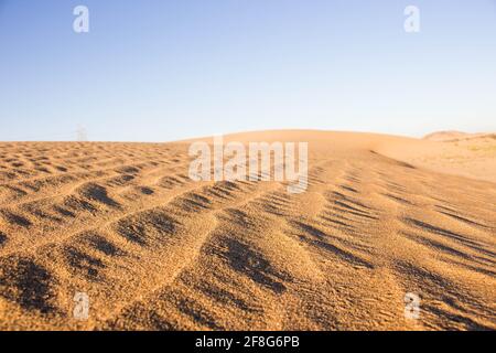 dune di sabbia in arabia saudita Foto Stock