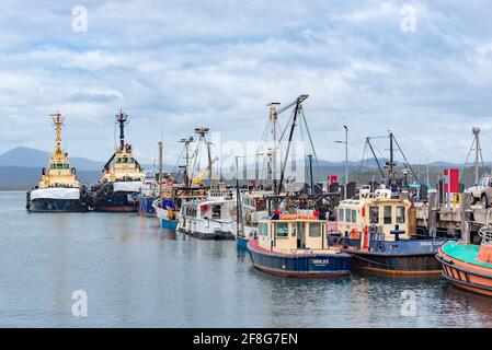 Grandi ciuffi di spinta Wistari (a sinistra) e Cooma ormeggiati con altri Navi commerciali e da pesca al porto di Eden ON La costa sud del NSW dell'Australia Foto Stock