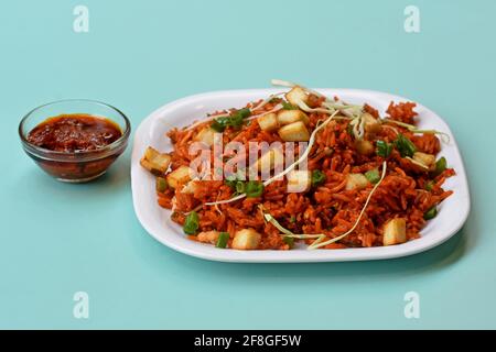 Riso fritto con salsa schezwan, riso cinese fritto con paneer, guarnito con cipolla primaverile e cavolo Foto Stock