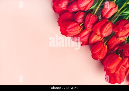 Fila di tulipani rossi su sfondo rosa con spazio per il testo, messaggio 8 marzo, buon San Valentino, Madre, Memorial, Giorno dell'insegnante, Ciao primavera conc Foto Stock