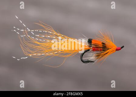 Pesca al salmone Atlantico volare un Ally's Artic doppio Shrimp mosca preso in uno studio Foto Stock