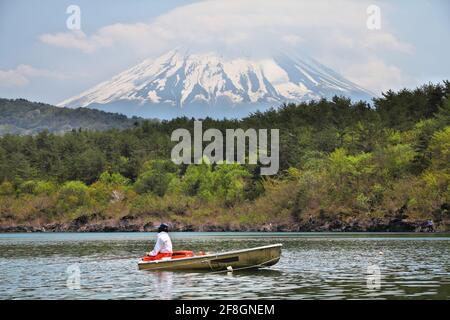 Monte Fuji in Giappone. Vista del monte Fuji dal lago Saiko, uno dei famosi cinque laghi Fuji. Foto Stock