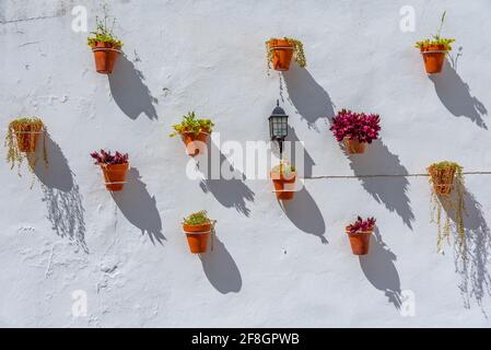 vasi di fiori appesi su un muro bianco a arcos de la Frontera in Spagna Foto Stock