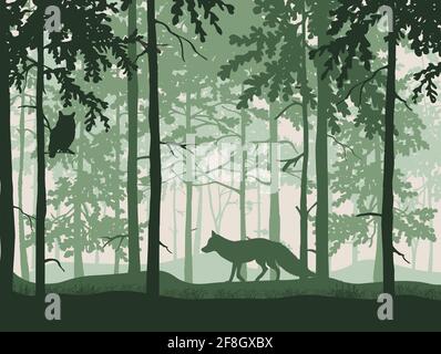 Volpe, gufo sul ramo, sfondo della foresta, silhouette di alberi. Magico paesaggio nebby. Illustrazione verde. Illustrazione Vettoriale