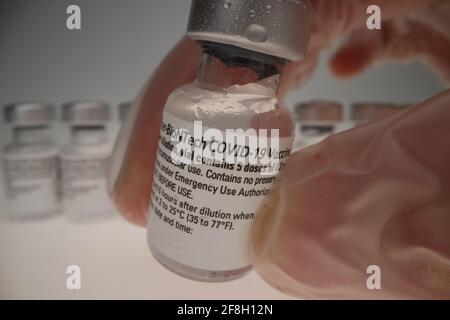 flaconcino di vaccino comirnaty originale disposto in un gruppo davanti di un backrop bianco che è preso da una mano indossare un guanto monouso Foto Stock