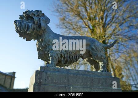 Statua di Old Ginger a Dendie Dinmont Terrier nei terreni del Haining a Selkirk ai confini scozzesi. Foto Stock