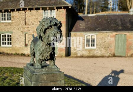 Statua di Old Ginger a Dendie Dinmont Terrier nei terreni del Haining a Selkirk ai confini scozzesi. Foto Stock