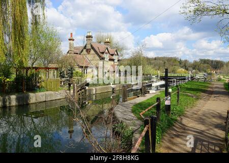 Hertford Lock sul fiume Lea Foto Stock