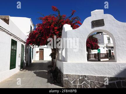 Luogo Plaza de la Costituzione, centro di Haria, Lanzarote, Isole Canarie, Canarie, Spagna Foto Stock