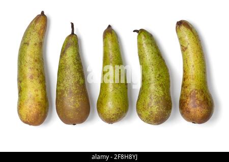 Fila di pere fresche intere di Abate fetel di forma lunga isolate su sfondo bianco Foto Stock