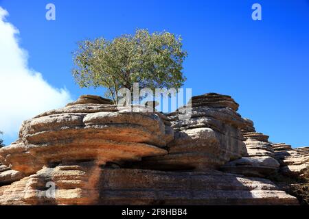 Bizzarre formazioni rocciose nel Parco Nazionale El Torca, Paraje Natural Torcal de Antequera, ist ein 1171 ha grosses Naturschutzgebiet con auss??ergewoehnl Foto Stock