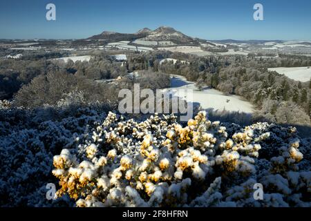 Vista delle Eildon Hills da Scott's View in una gelida mattina di primavera. Foto Stock