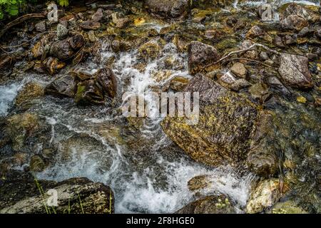 Primo piano del flusso rapido e pulito che scorre sulle rocce. Il fiume di montagna scorre giù e spruzzi Foto Stock