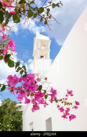 Grandi bouganville fiorite in un vicolo nel tradizionale villaggio di MARPISSA, sull'isola di Paros, Cicladi, Grecia, Europa. Foto Stock