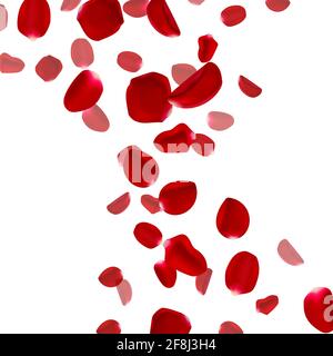 Vector 3d realistico flying rose petali sfondo. Modello per biglietti e banner per matrimoni, compleanni o feste. Illustrazione Vettoriale