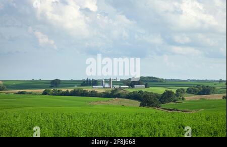 Paesaggio rurale con fattorie e campi nel sud del Minnesota un pomeriggio di sole Foto Stock