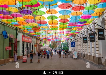 TIMISOARA, ROMANIA, 26 LUGLIO 2019: Strada coperta di ombrelloni nel centro di Timisoara, Romania Foto Stock