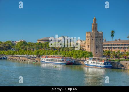 SEVILLA, SPAGNA, 25 GIUGNO 2019: Torre del Oro a Siviglia, Spagna Foto Stock