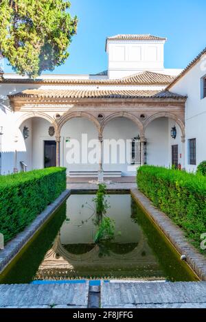 SEVILLA, SPAGNA, 25 GIUGNO 2019: Patio de los prelievi al Real alcazar de Sevilla in Spagna Foto Stock