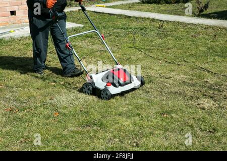 Aerazione con scarificatore. Utilizzando uno scarificatore in giardino per migliorare la qualità del prato in primavera. Un uomo lavoratore, giardiniere che opera l'aerazione del suolo Foto Stock