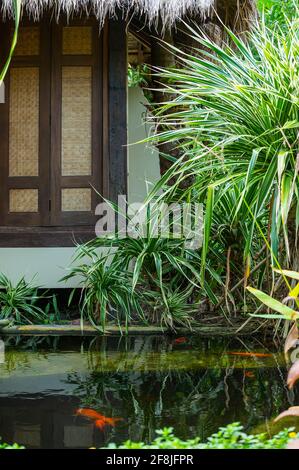 Particolare di fronte casa sull'isola tropicale di Koh Phangan Foto Stock