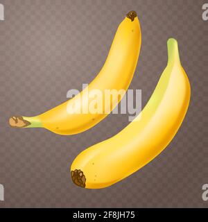 Set di 2 banane realistiche su sfondo trasparente a scacchi. Frutti tropicali. Illustrazione vettoriale 3D Illustrazione Vettoriale