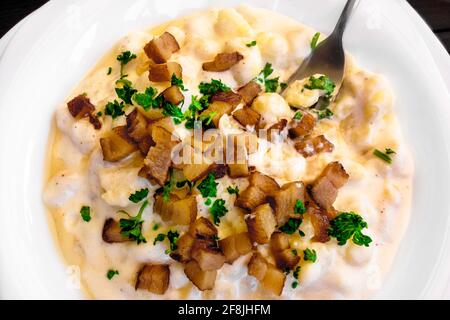 Gnocchi di patate ('halusky') con formaggio di pecora ('bryndza') in panna acida salsa cosparsa di pancetta tostata a dadini e prezzemolo in bianco piastra con forcella Foto Stock