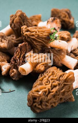 Fungo Morel (morchella) - Verpa bohemica, in repubblica Ceca chiamato anatra di Boemia, genere di morelle, raro e costoso fungo su sfondo verde. Foto Stock