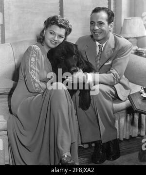 HUMPHREY BOGART e la sua terza moglie MAYO METHOT ritratto candido a casa con il loro cane Terranova animale domestico in 1942 Pubblicità per Warner Bros Foto Stock