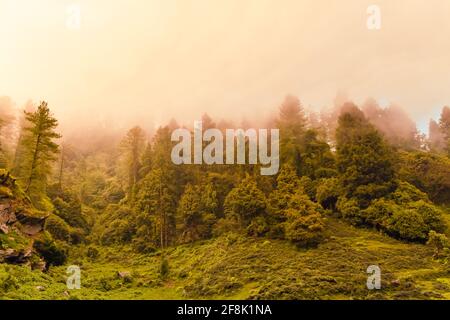 Silhouette di himalaya boschiva pendio di montagna con le conifere sempreverde avvolta da un pungente panorama dal campo base del lago di prashar ad un'altezza di Foto Stock