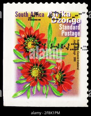 MOSCA, RUSSIA - 7 OTTOBRE 2019: Francobollo stampato in Sud Africa mostra Gazania krebsiana, Fauna e flora serie, circa 2000 Foto Stock