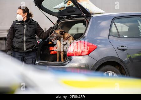 Bad Bentheim, Germania. 14 Apr 2021. Abby, un cane da pastore belga in servizio presso la polizia federale, cerca un scarpone per auto per la droga in un parcheggio sull'autostrada A 30 poco dopo il confine tedesco-olandese. La polizia federale, insieme ai colleghi della polizia di Stato della bassa Sassonia, sta effettuando un controllo su larga scala sull'autostrada A 30, vicino al confine tedesco-olandese. L'obiettivo dell'operazione di controllo su larga scala è la lotta alla criminalità transfrontaliera. Credit: Guido Kirchner/dpa/Alamy Live News Foto Stock