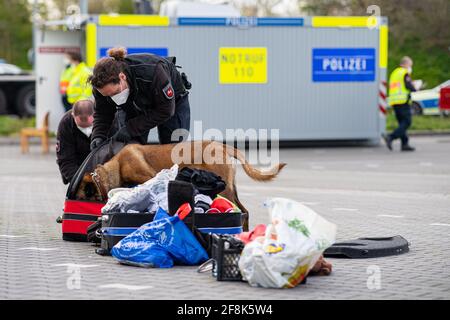 Bad Bentheim, Germania. 14 Apr 2021. Abby, un cane da pastore belga in servizio presso la polizia federale, cerca i bagagli per la droga in un parcheggio sull'autostrada A 30 poco dopo il confine tedesco-olandese. La polizia federale, insieme ai colleghi della polizia di Stato della bassa Sassonia, sta effettuando un controllo su larga scala sull'autostrada A 30, vicino al confine tedesco-olandese. L'operazione di controllo su larga scala si concentra sulla lotta contro la criminalità transfrontaliera. Credit: Guido Kirchner/dpa/Alamy Live News Foto Stock