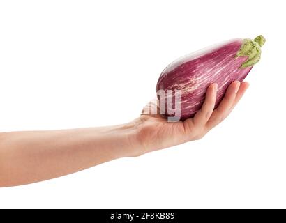 melanzane striate in mano isolato su bianco Foto Stock