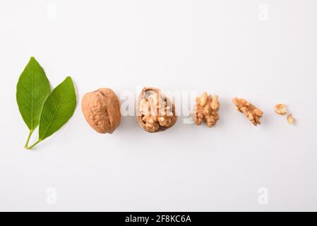Parti di noce come frutta secca allineate su tavola bianca. Vista dall'alto. Foto Stock
