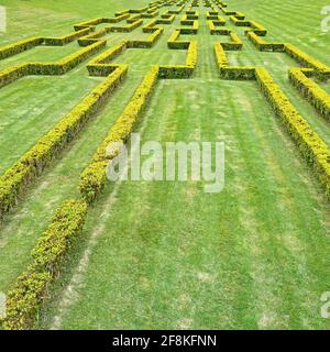 Le siepi tagliano in modo estremamente simmetrico. Un giardino formale con copertura in scatola ben tagliata. Il parco pubblico di Eduardo VII a Lisbona, Portogallo. Foto Stock