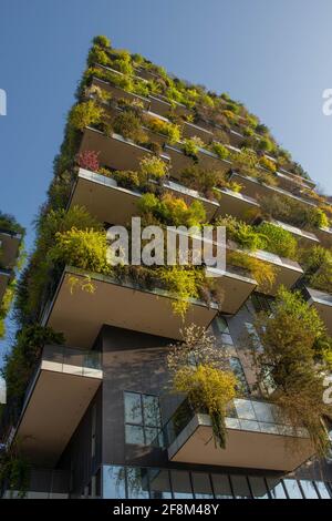 milano italia marzo 29 2021: Bosco verticale 'nuovo e moderno grattacielo con alberi che crescono sui balconi, nel quartiere Isola di Milano che è Ref Foto Stock