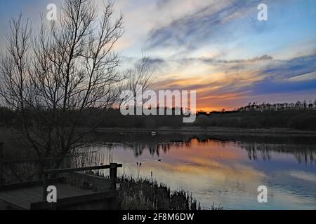 Tramonto a Sence Valley Forest Park, Leicestershire Foto Stock