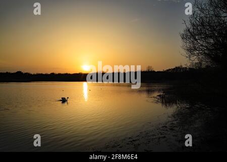 Tramonto a Groby Pool, Leicestershire Foto Stock