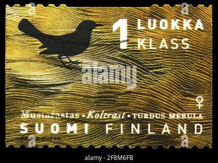 MOSCA, RUSSIA - 30 SETTEMBRE 2019: Francobollo stampato in Finlandia mostra il comune di Blackbird (Turdus merula), serie di uccelli regionali, circa 1998 Foto Stock