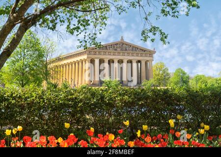 Partenone lato sinistro con tulipani in primo piano, Nashville, TN Foto Stock