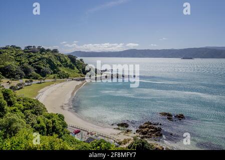 Paesaggio della baia bruciante circondato dal mare e. Verde sotto la luce del sole a Wellington Foto Stock