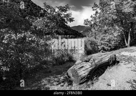 Immagine in scala di grigi di acqua circondata da foreste di montagna nel primo piano di un tronco di un albero tagliato Foto Stock