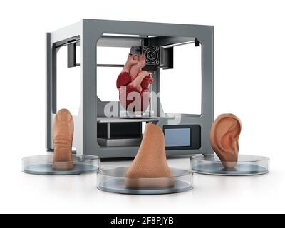 Stampante 3D medica e organi umani stampati isolati su sfondo bianco. Illustrazione 3D. Foto Stock