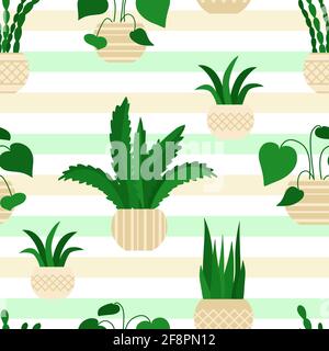 Modello houseplant. Fiori di casa in pentole, modello solido. Piante verdi, modello ripetitivo. Sfondo fresco con Stripes.Vector. Illustrazione Vettoriale