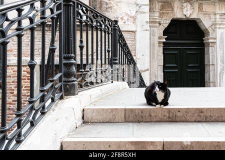 Gatto nero seduto in un ponte a Venezia Foto Stock