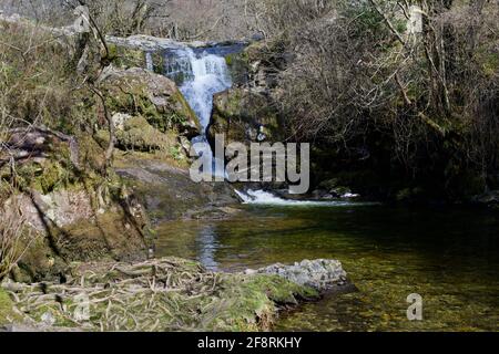 Cascate superiori, Aira Beck, Ullswater Foto Stock