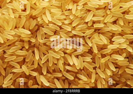 Riso comune (Oryza sativa), riso a grani lunghi Foto Stock